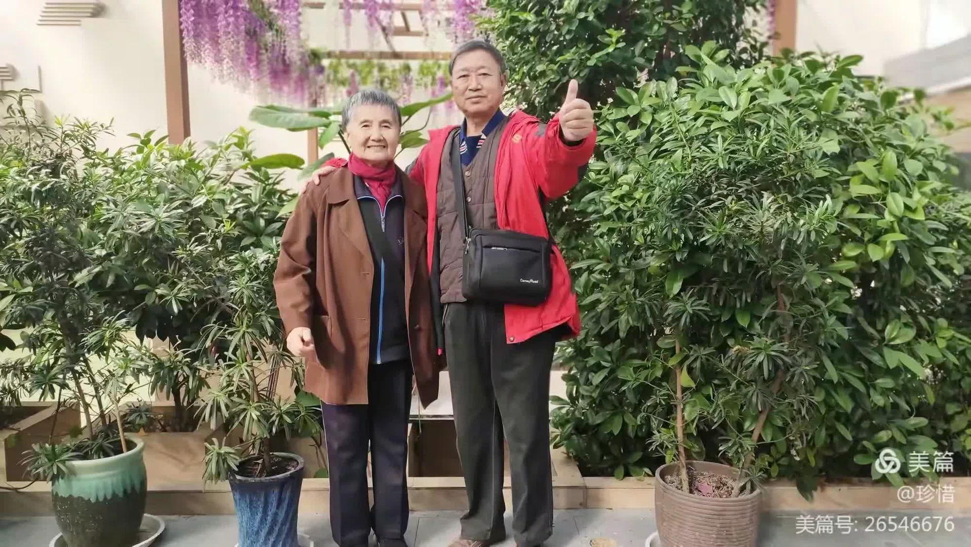 图片9