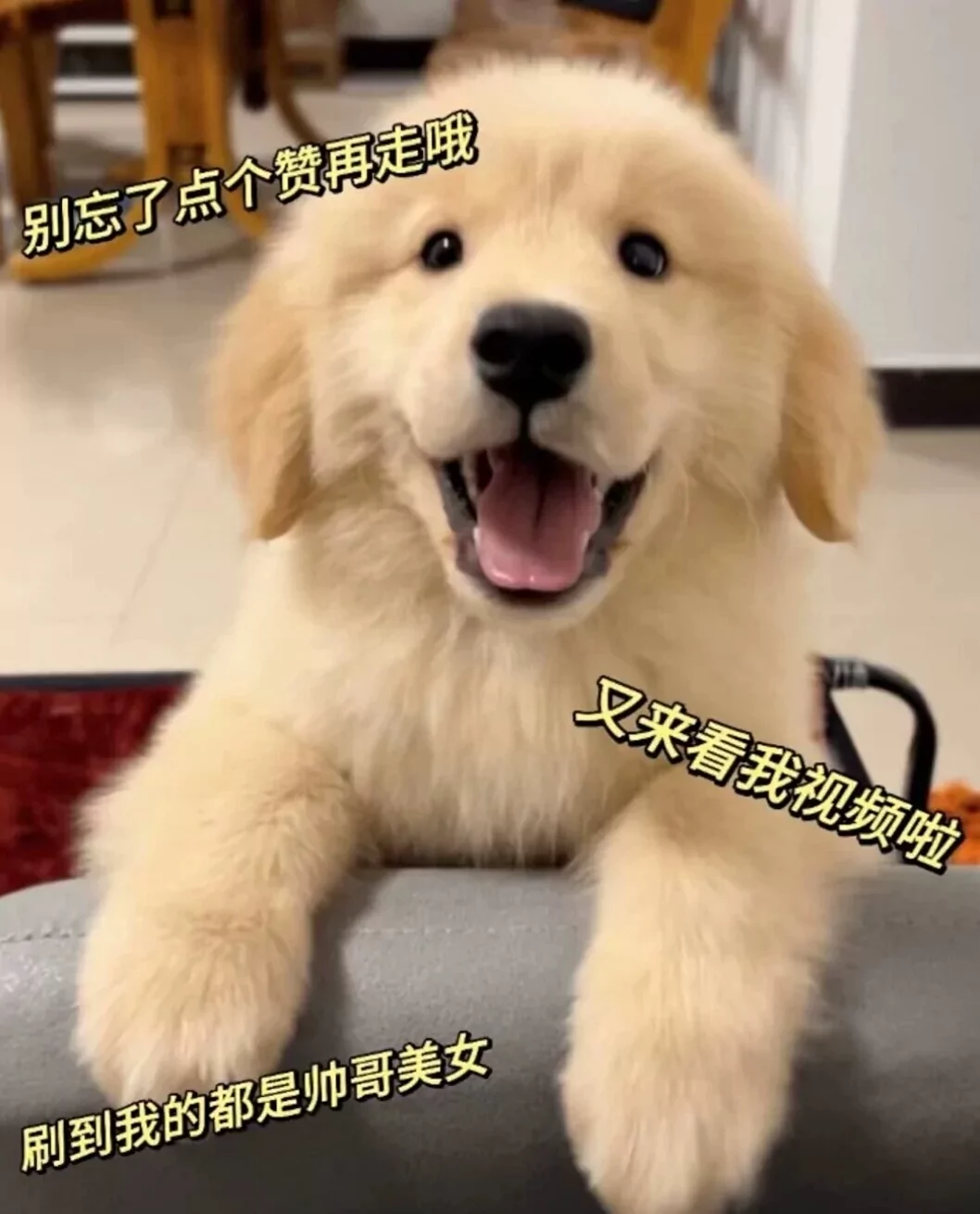图片27