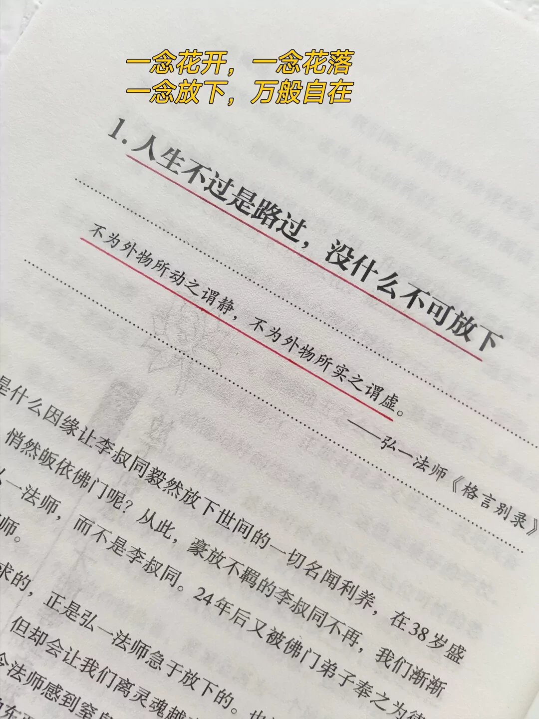 图片19