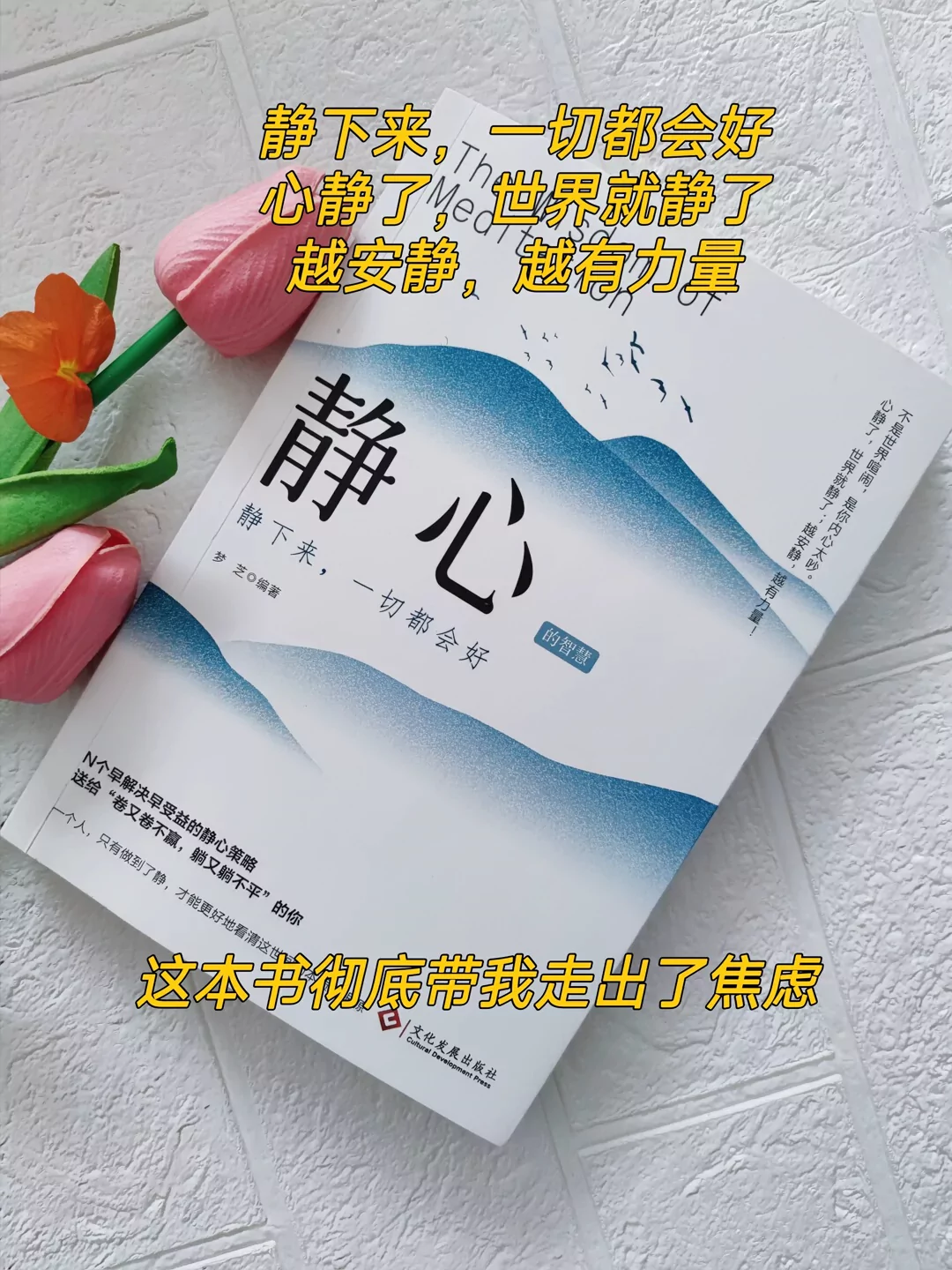 图片21