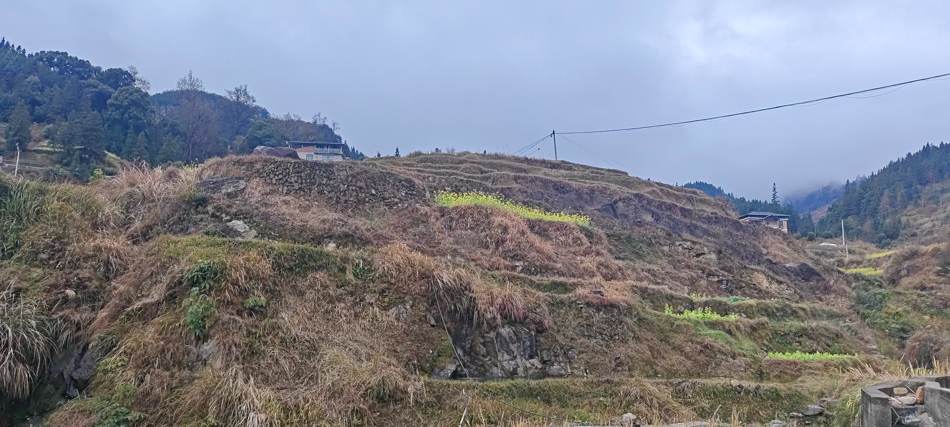 请输入图片描述