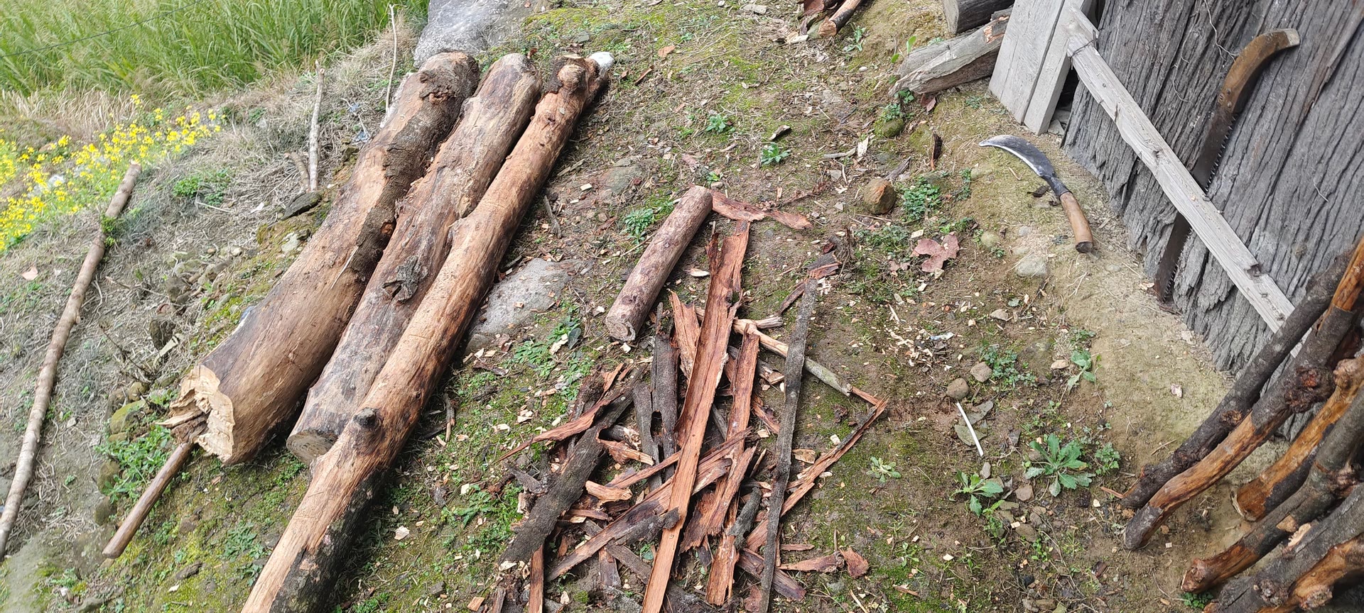 请输入图片描述