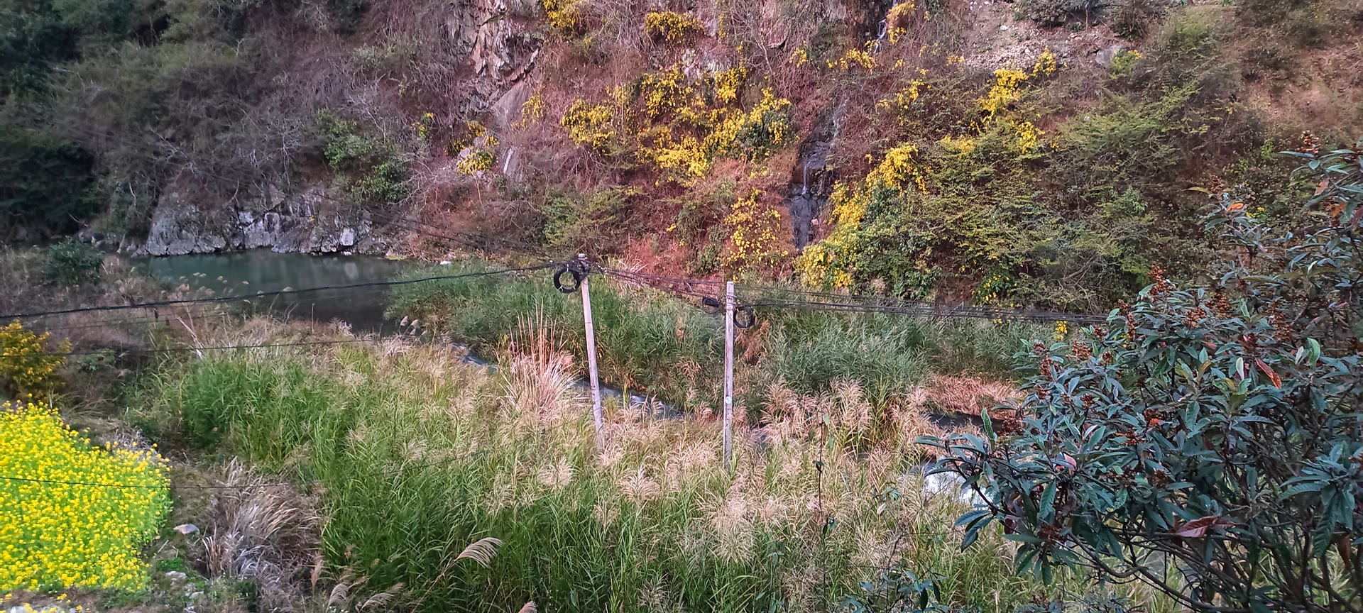 请输入图片描述