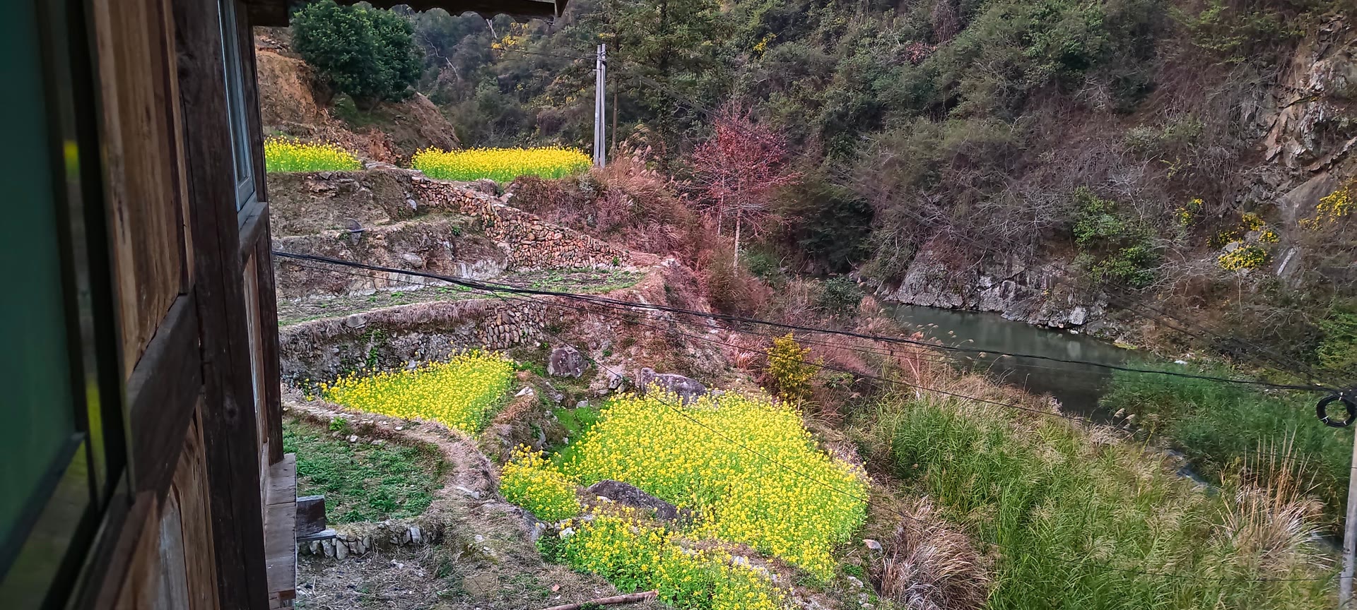 请输入图片描述