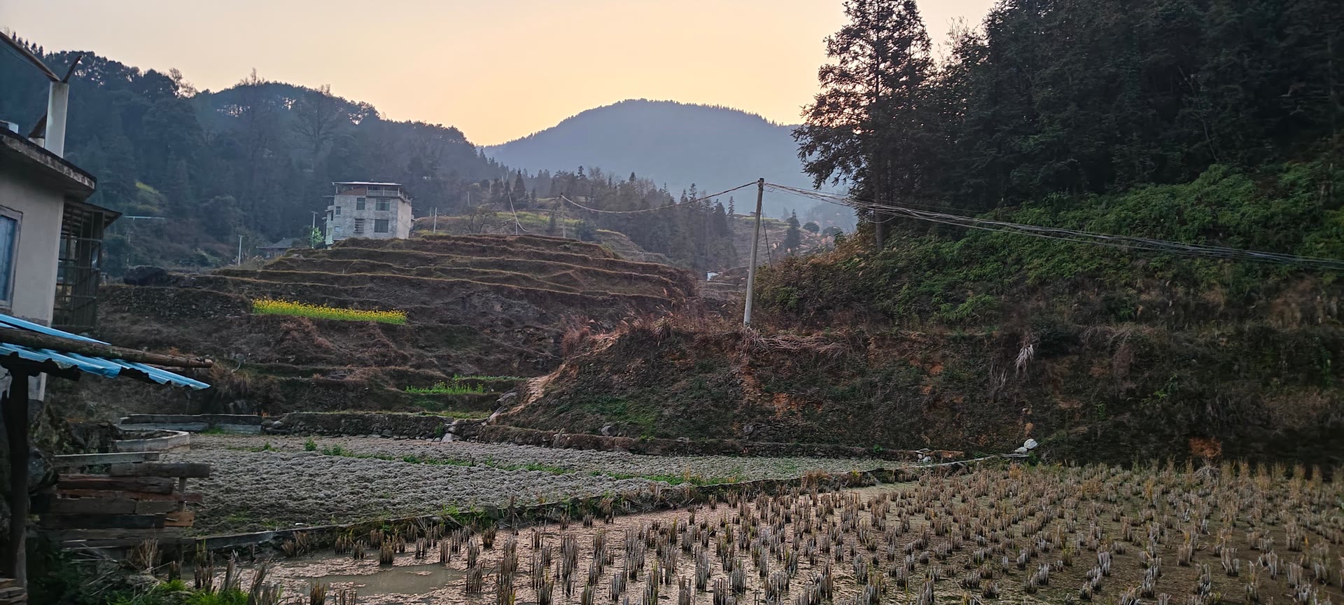 请输入图片描述