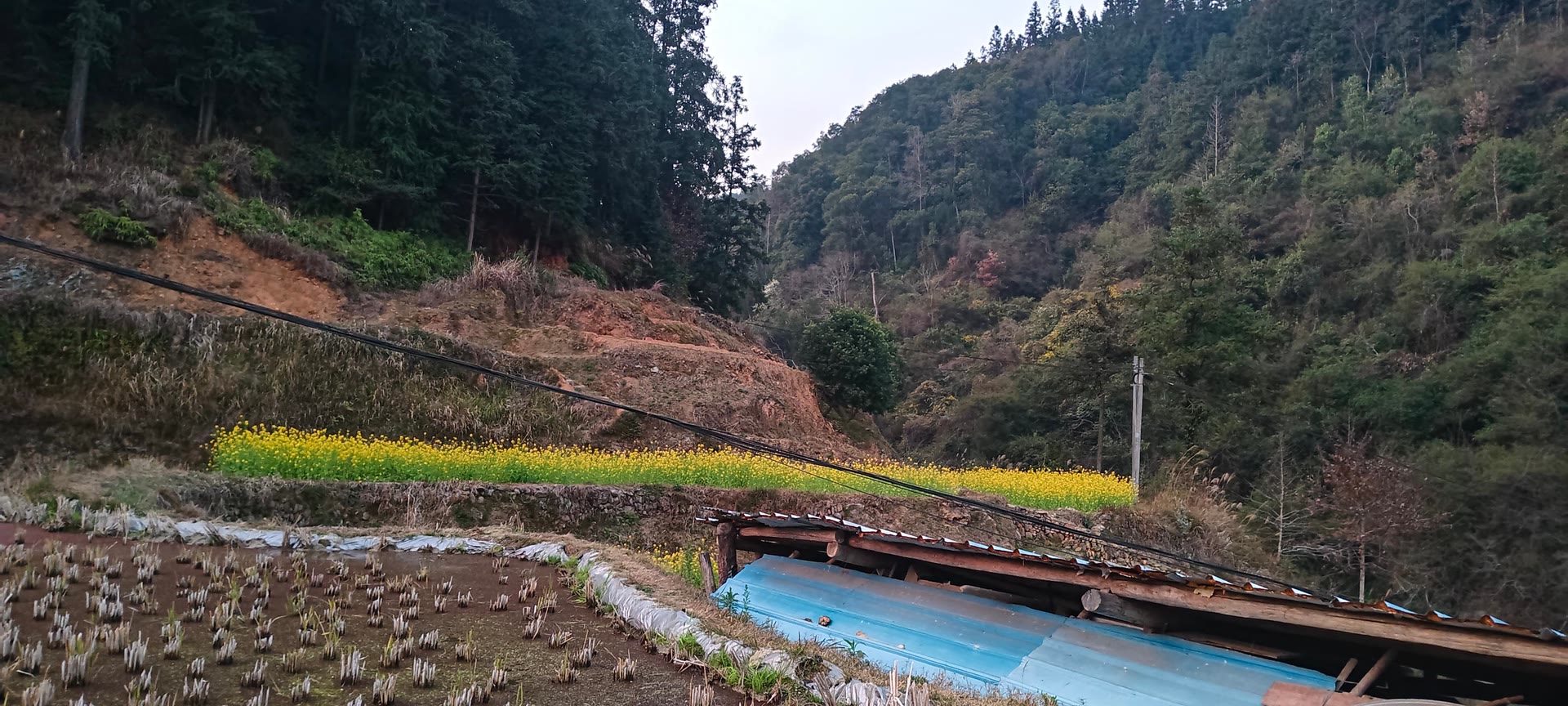 请输入图片描述