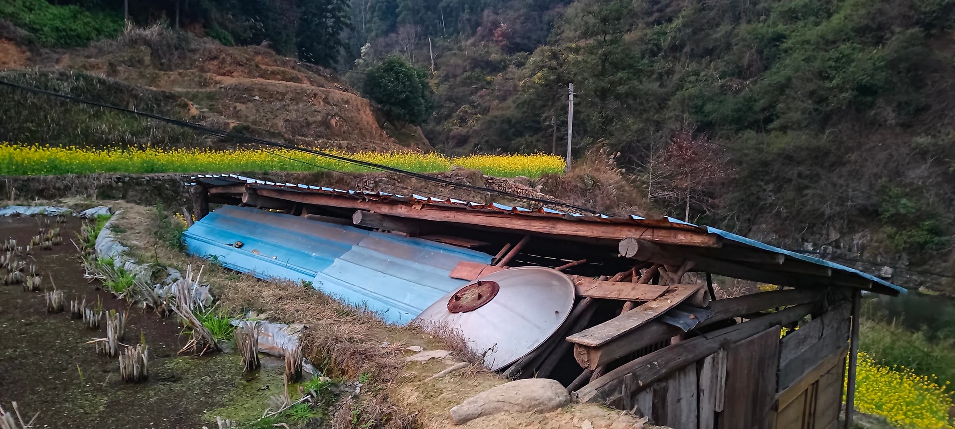 请输入图片描述