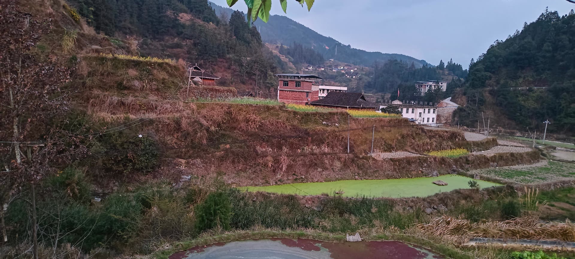 请输入图片描述