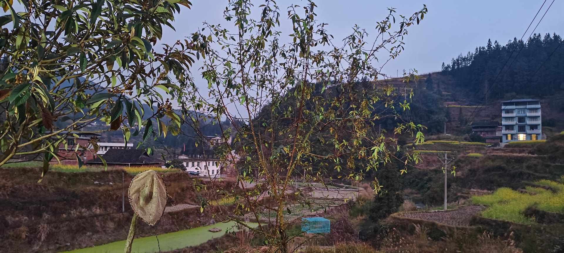 请输入图片描述