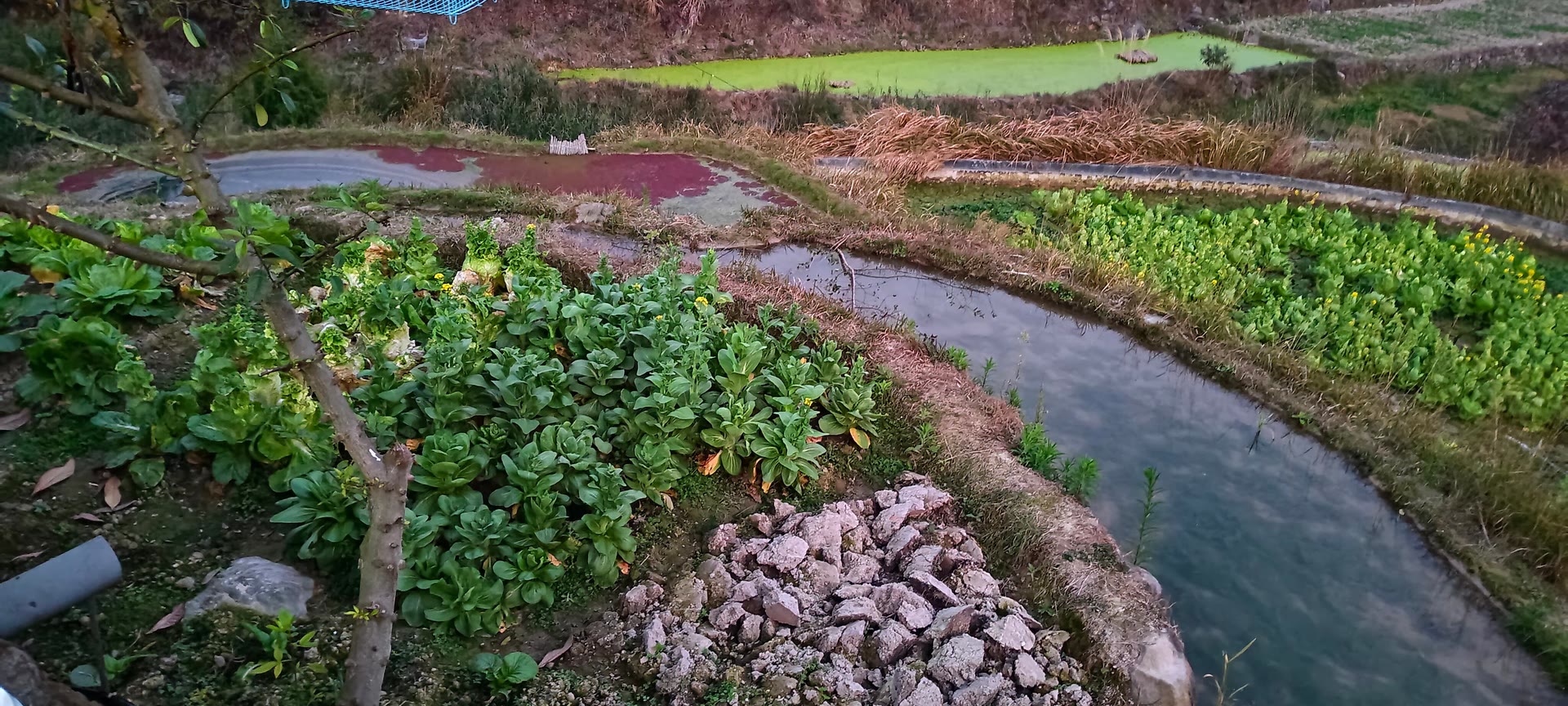 请输入图片描述