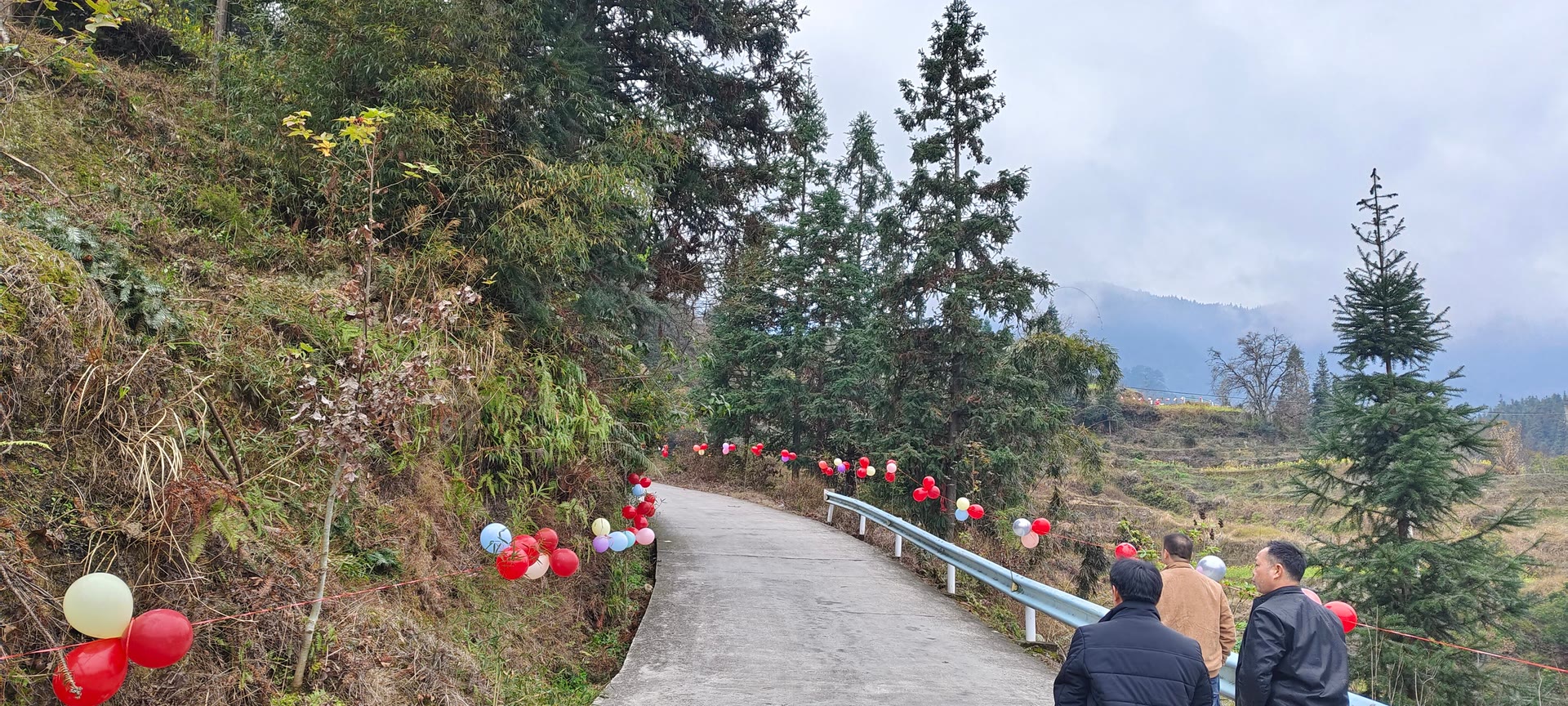 请输入图片描述