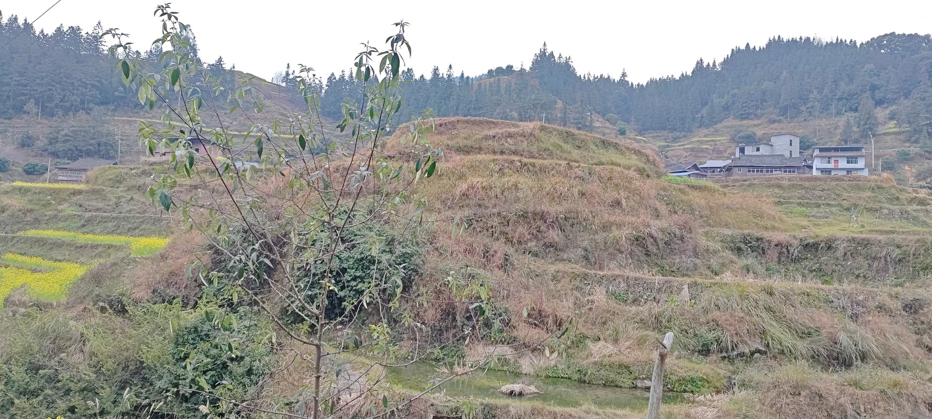 请输入图片描述