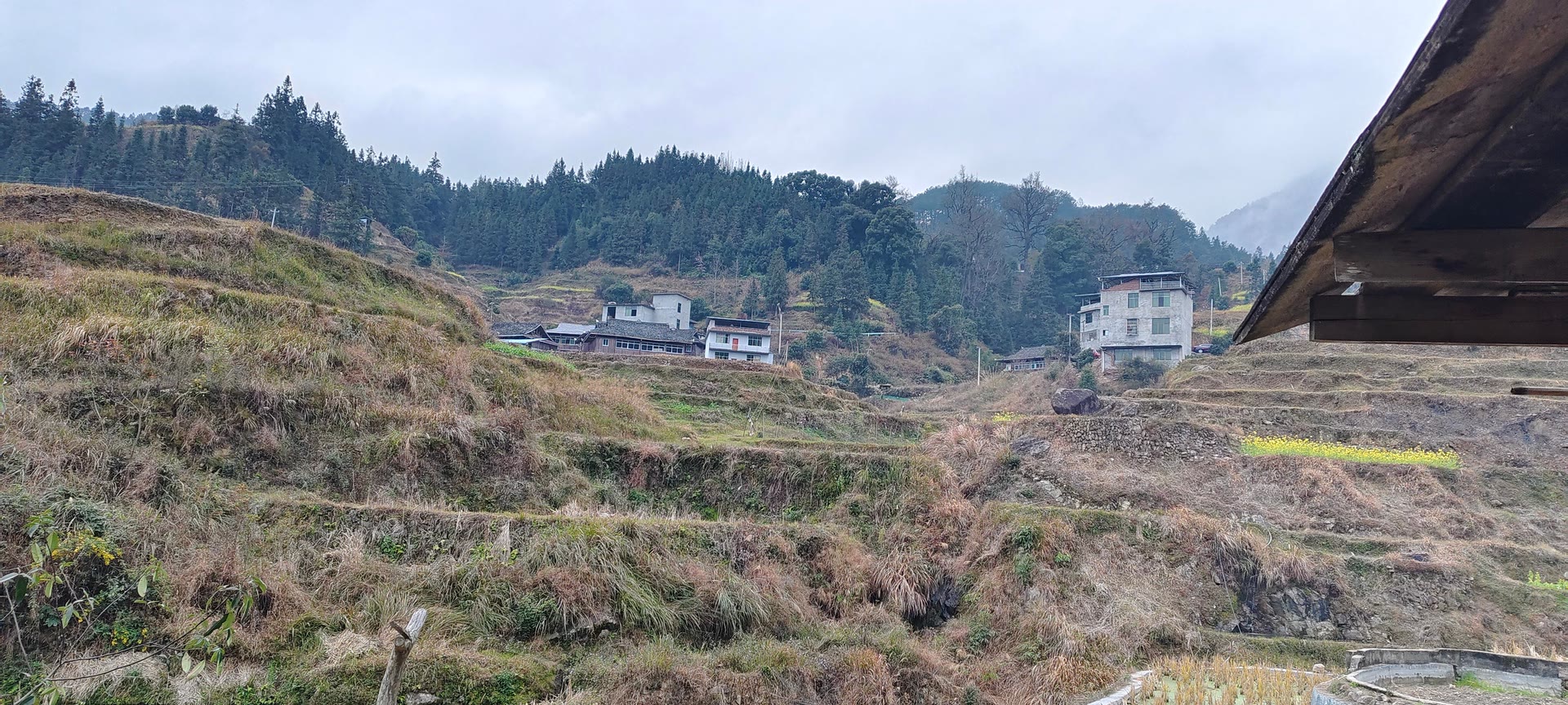 请输入图片描述