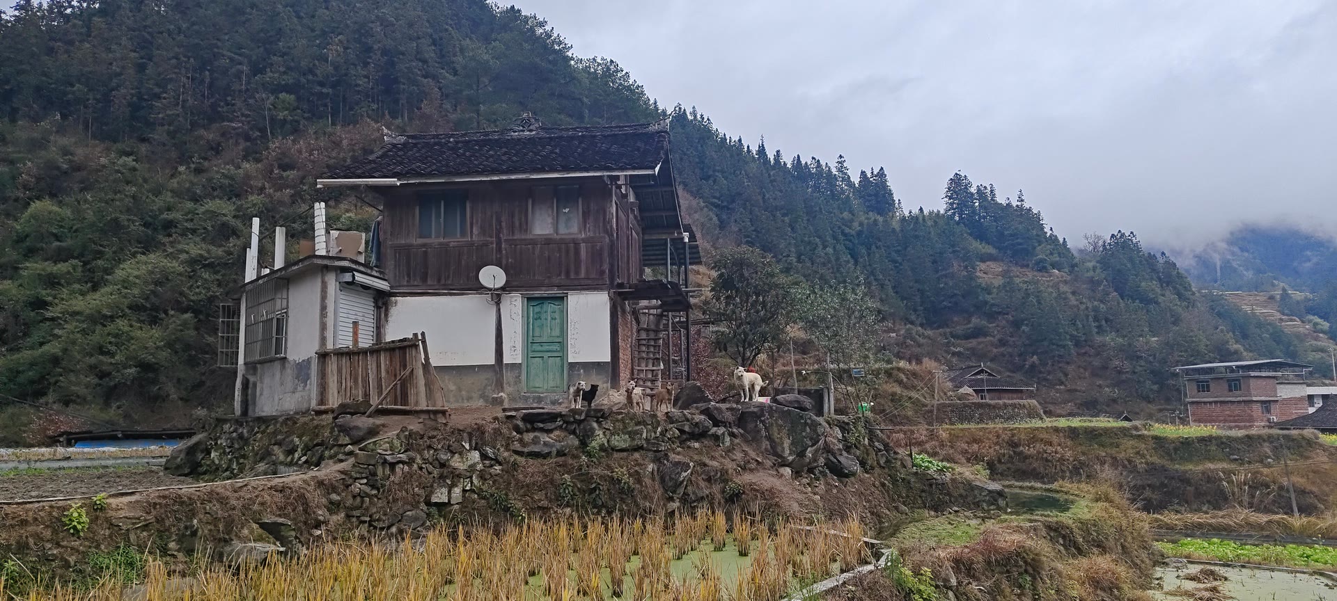 请输入图片描述