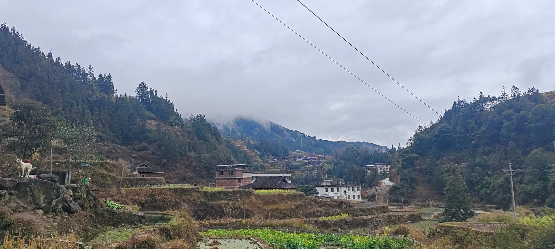 请输入图片描述