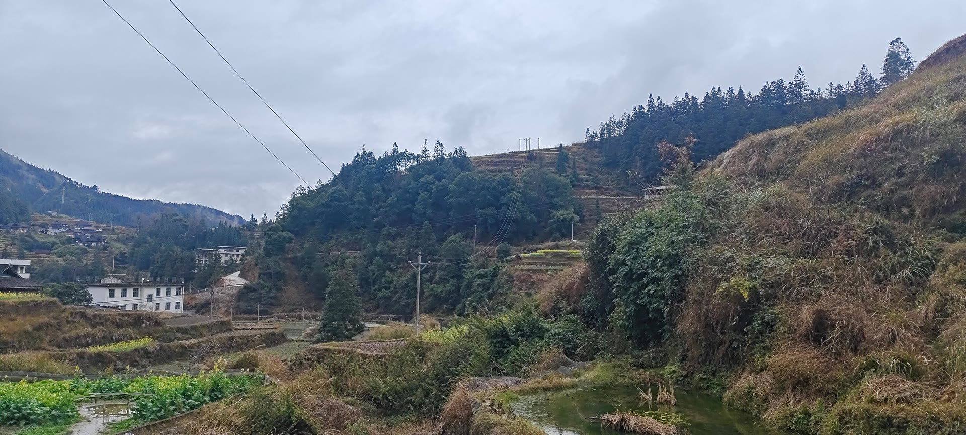 请输入图片描述